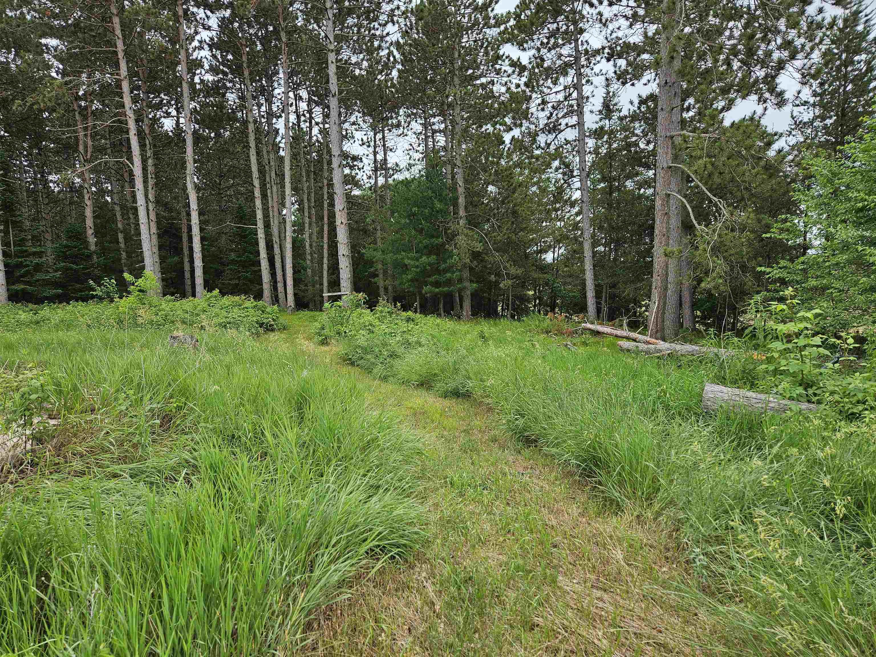 Property Photo:  2988 Cedar Road  WI 54473-8967 
