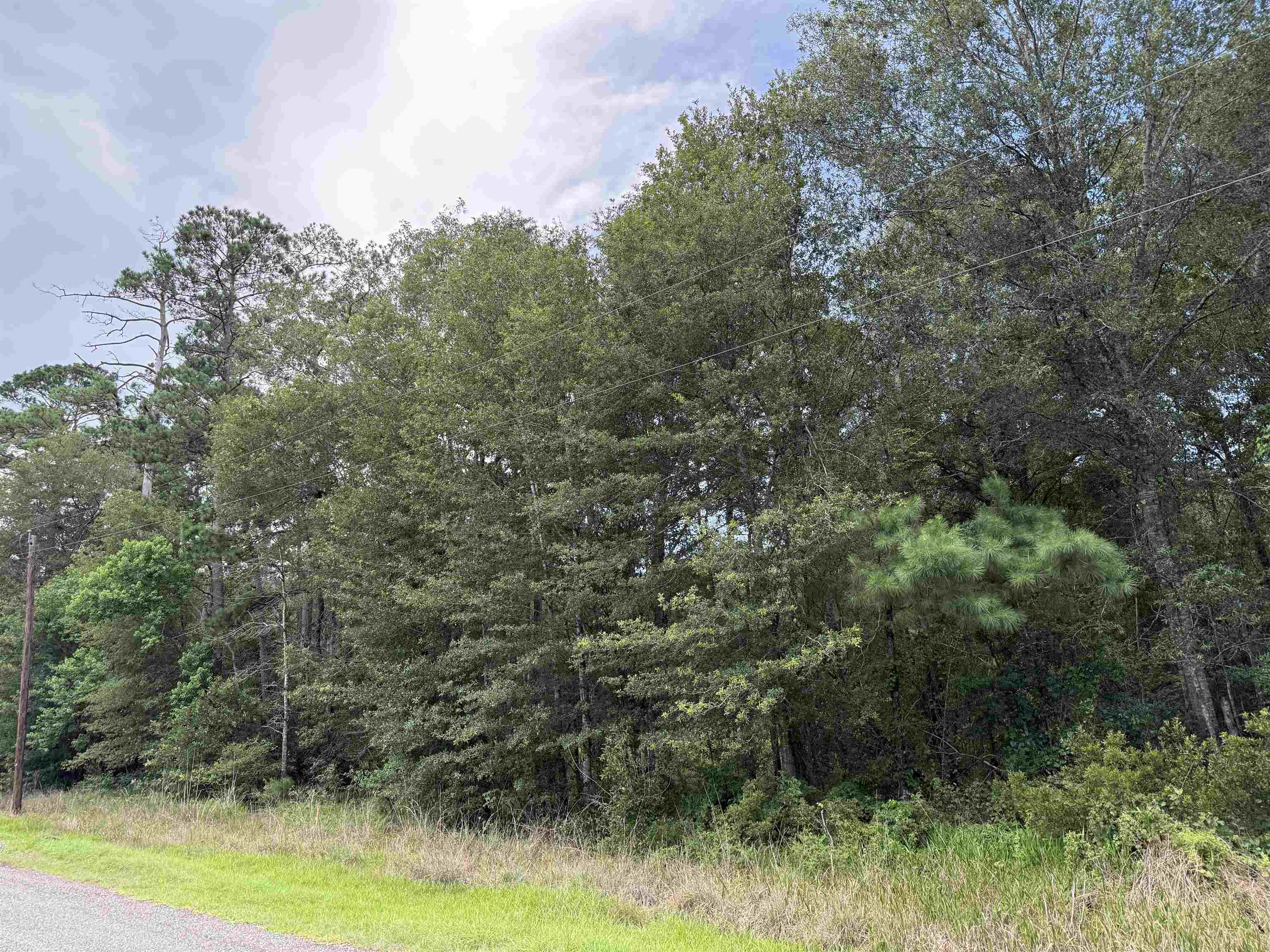 Property Photo: 1885 Bobcat Circle TX 77630
