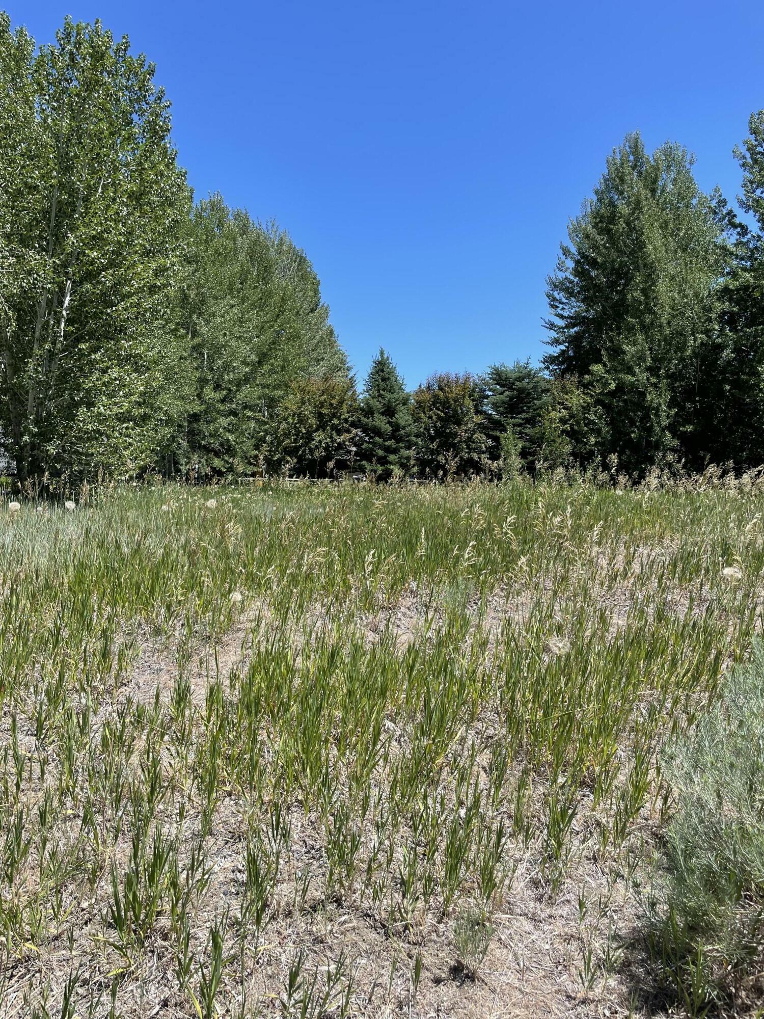 Property Photo: 520 Angela Dr ID 83333