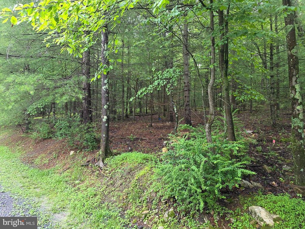 Property Photo: 91 Hirschmann Road PA 17307