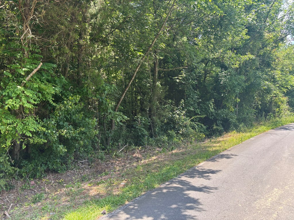 Property Photo: 0 Oakman Road GA 30732