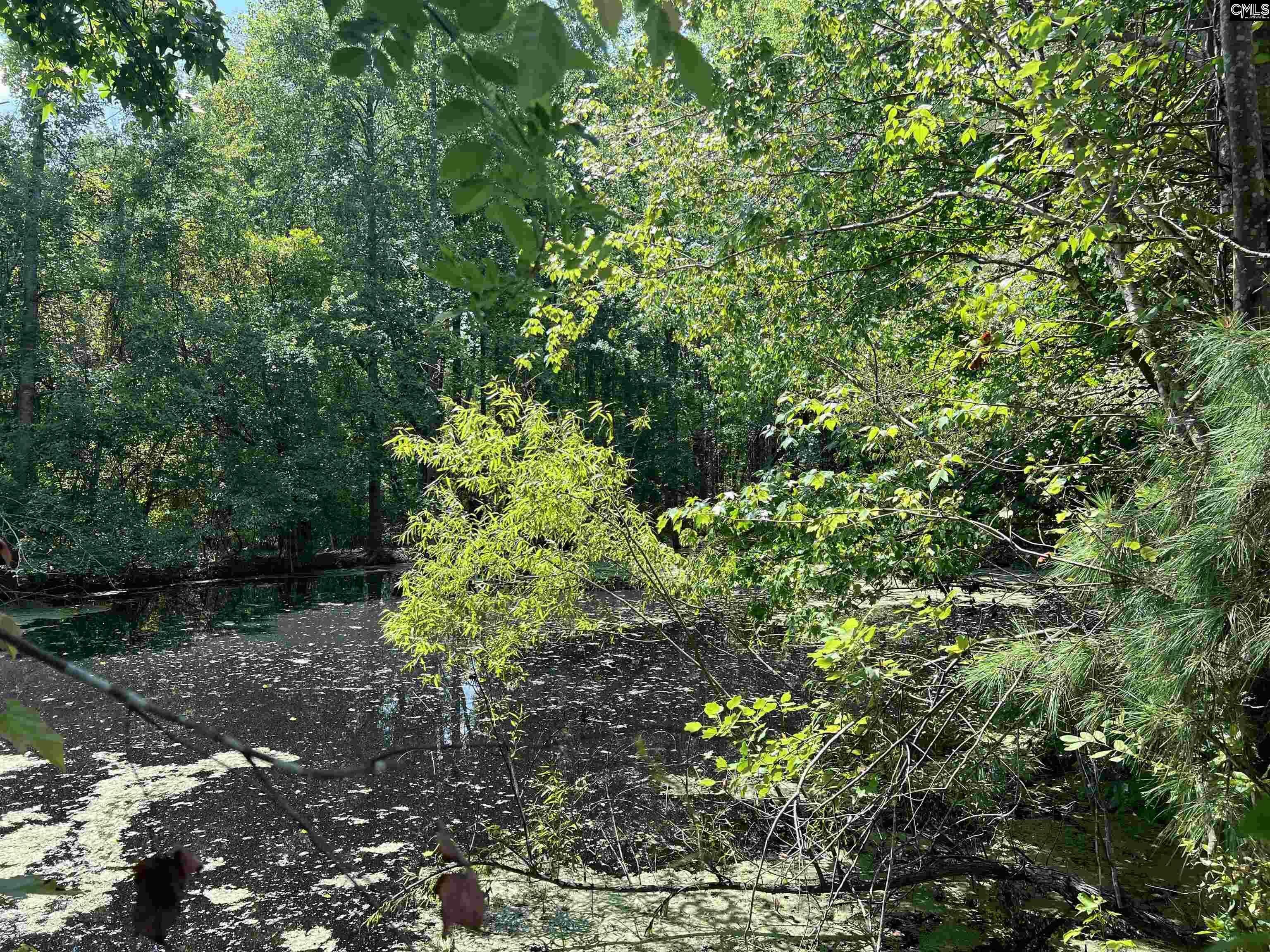 Property Photo: 4141 Edmund SC 29170-1413