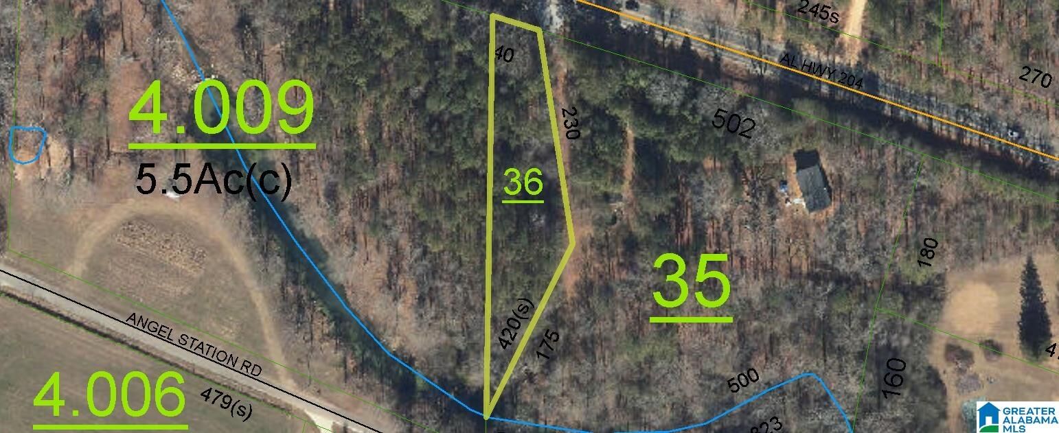 Property Photo:  0 Highway 204 0  AL 36265 