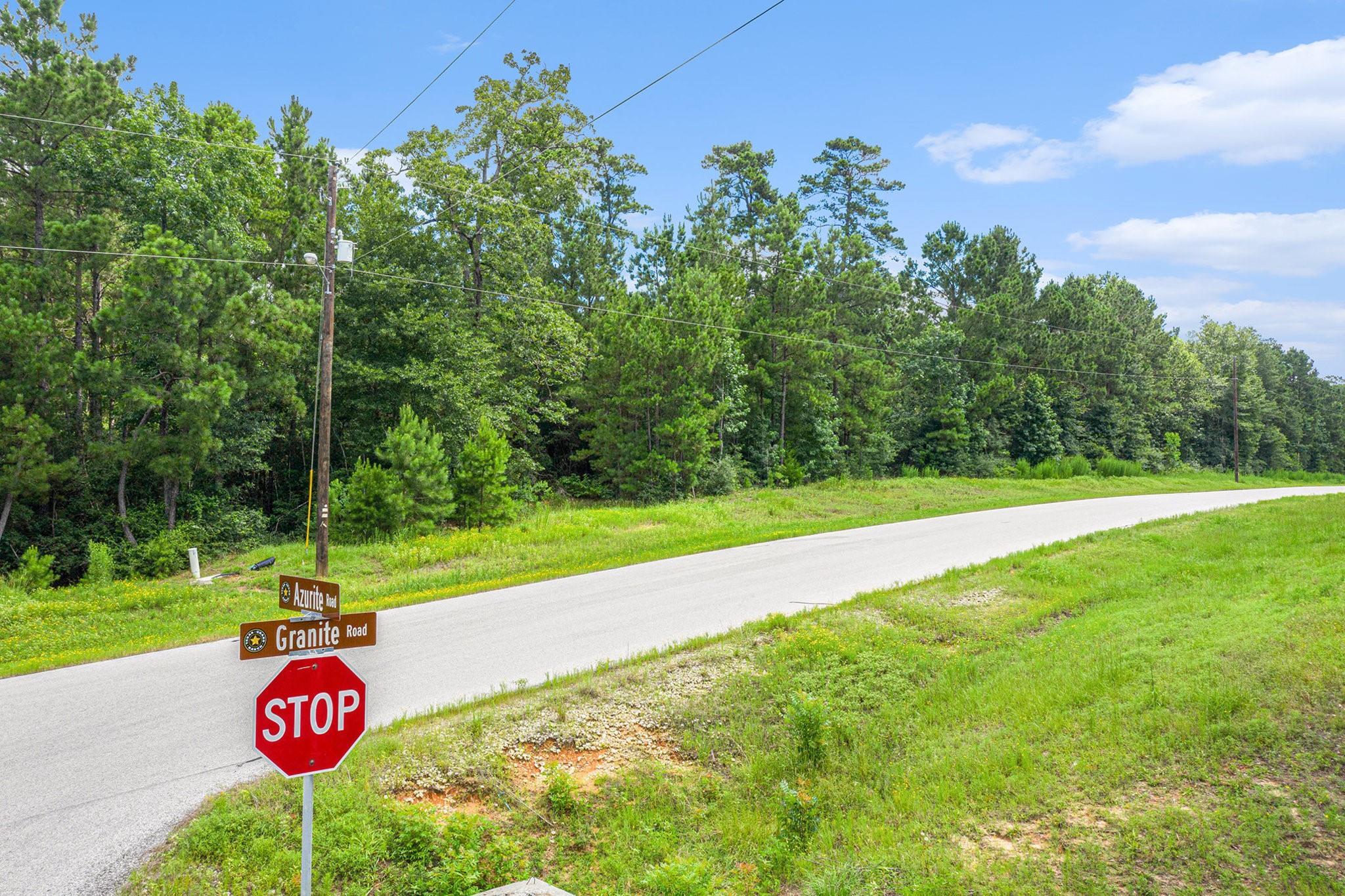 Property Photo: 0 Granite Road TX 77340