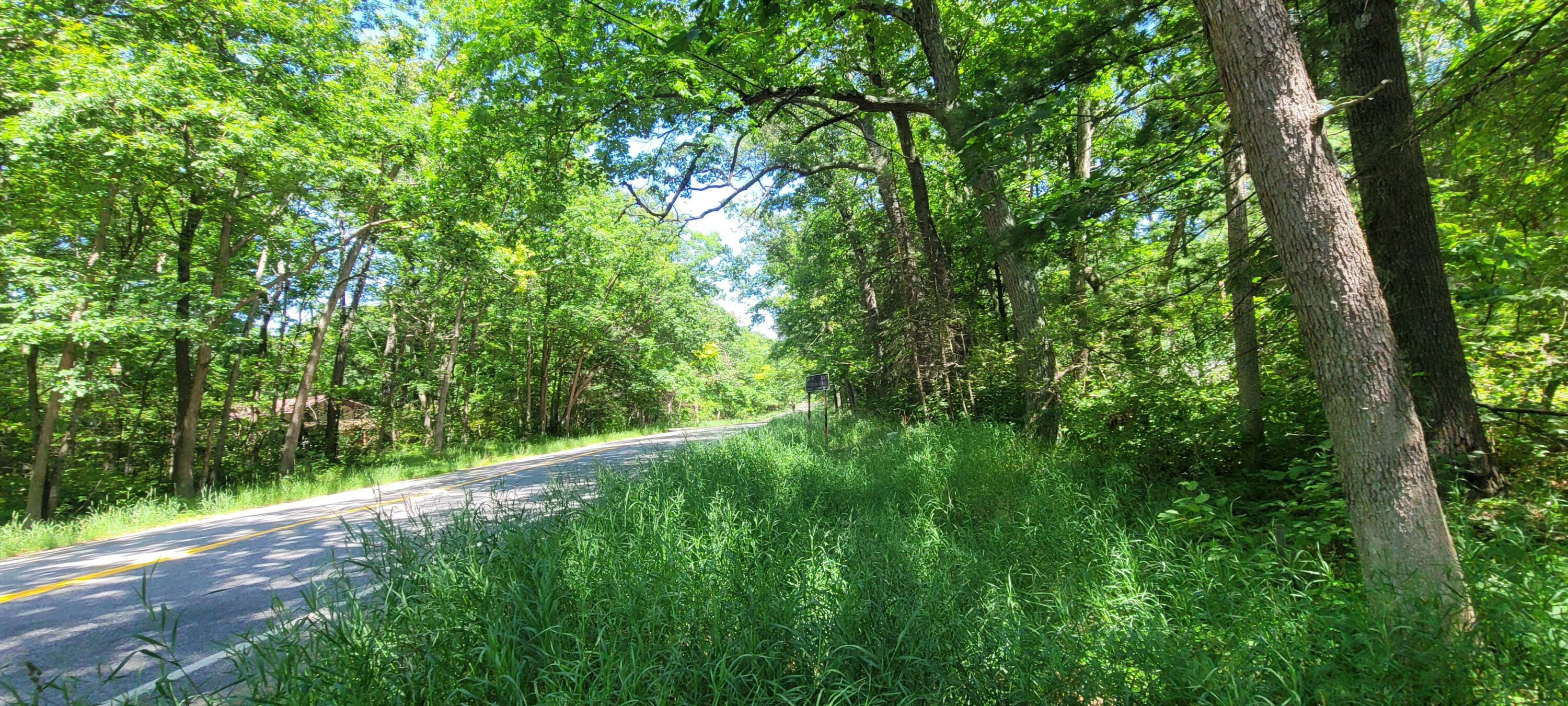 Property Photo: 0 W Fruitvale Rd Road MI 49437