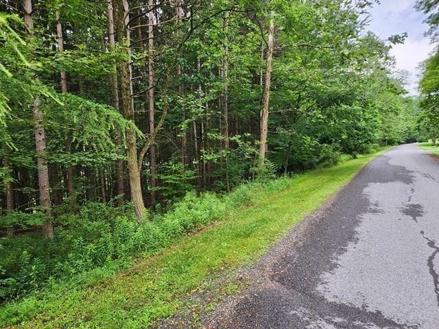 0 Tyrolean Trail  Emporium PA 15834 photo