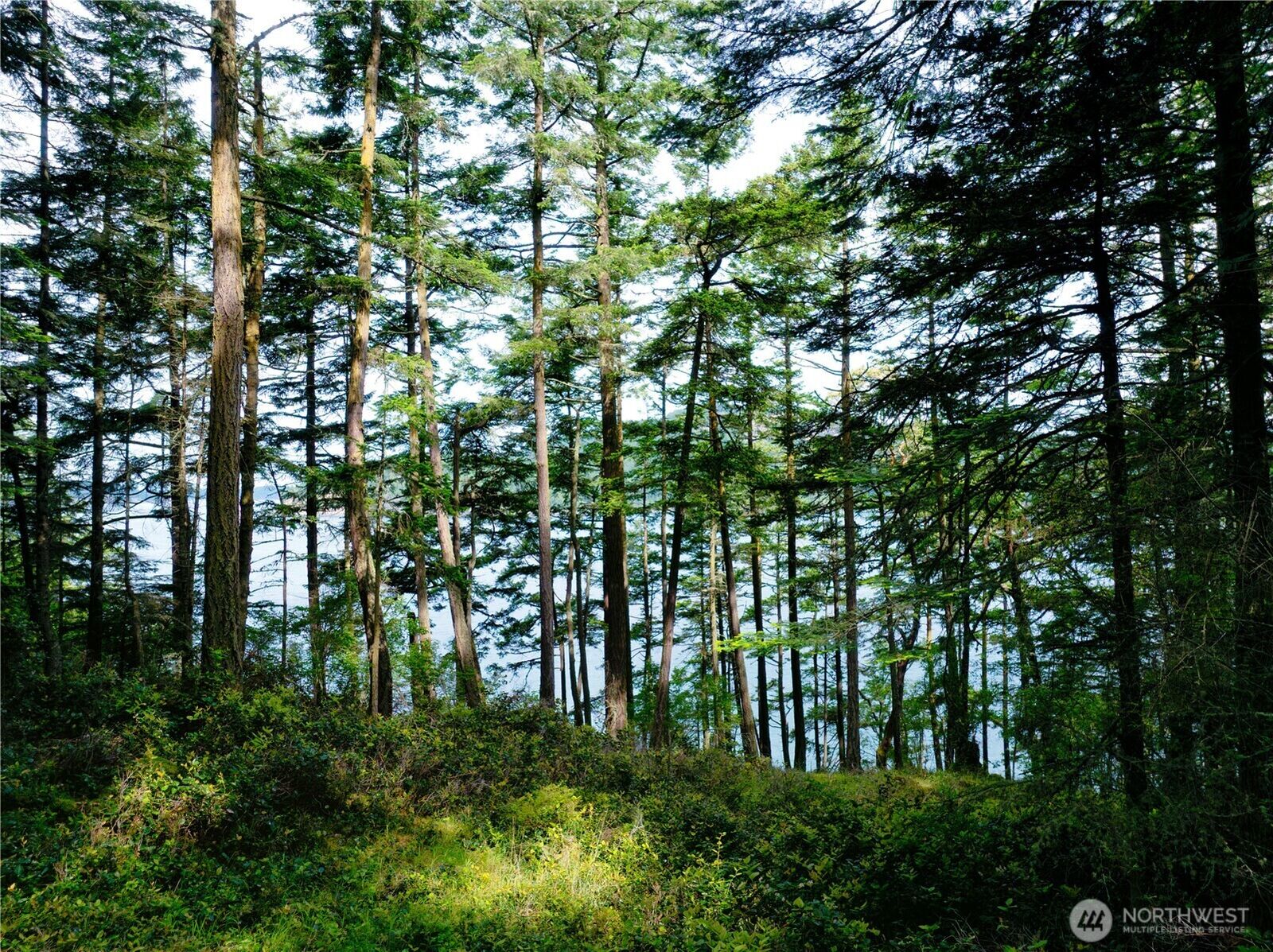 Property Photo: 0 Lot 7 Pass View Road WA 98221