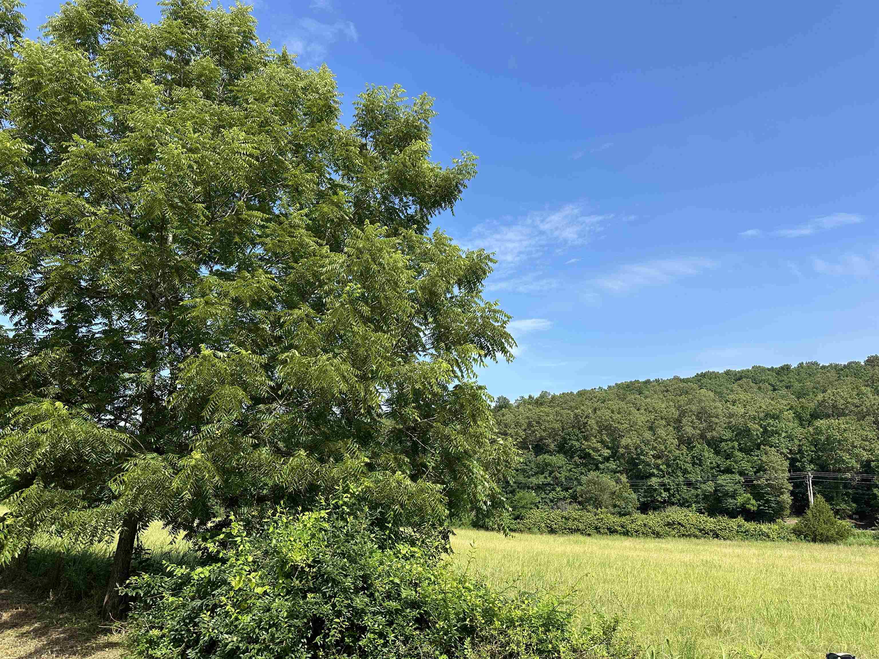 Property Photo: 000 Denton Ferry Road AR 72626