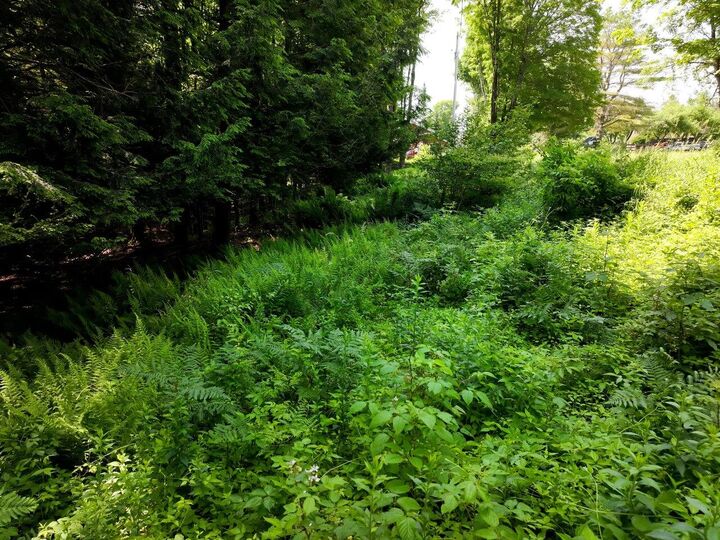 Property Photo: 000 Maxfield Road VT 05492