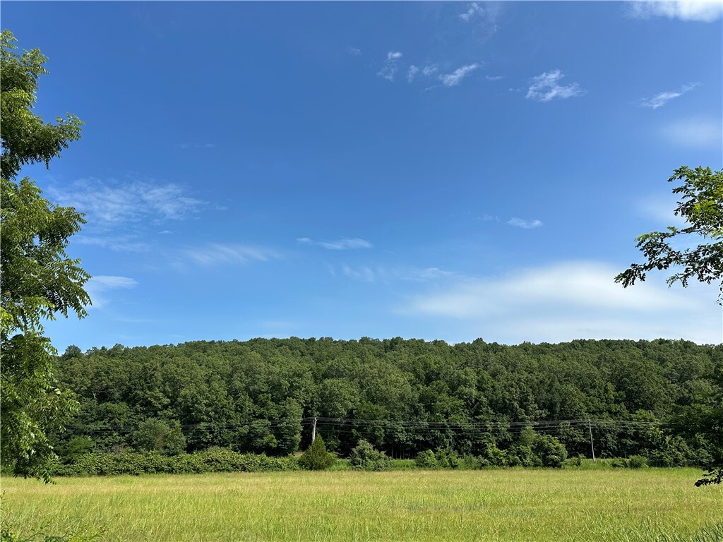 Property Photo:  000 Denton Ferry Road  AR 72626 