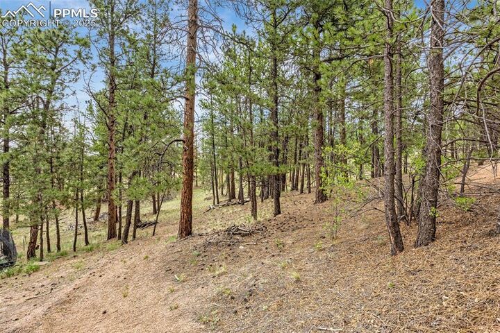 Property Photo:  77 Monarch Drive  CO 80816 