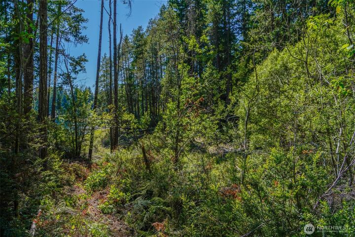 Property Photo: 691 NE Lakeshore Drive S WA 98588