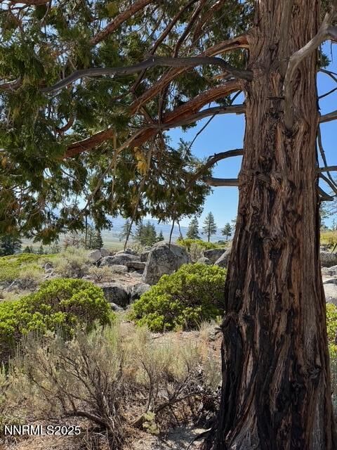 Property Photo:  Tbd Kingsbury Grade  NV 89460 