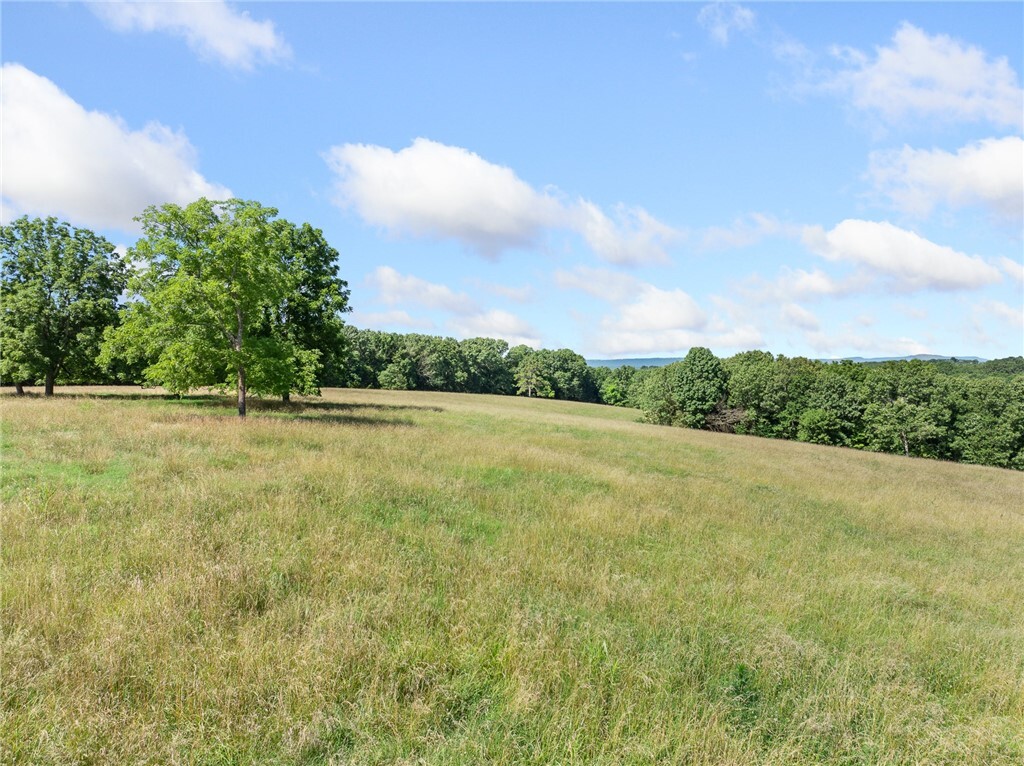 Payne Road  Harrison AR 72601 photo