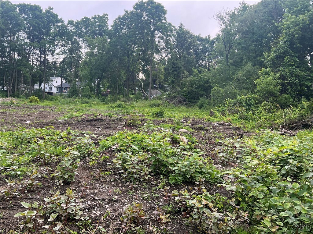 Property Photo: Franklin Street NY 13077