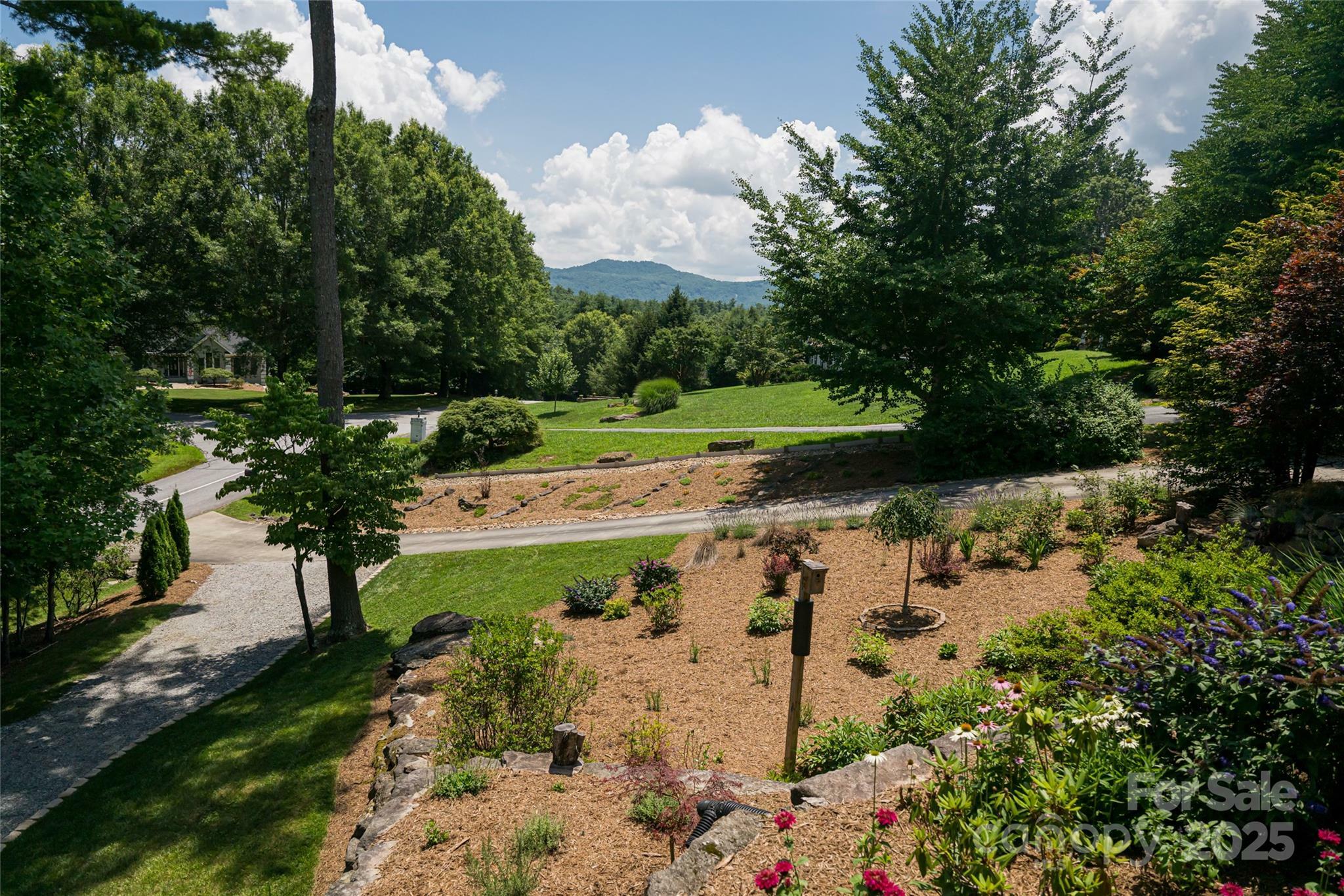 Property Photo: 649 Rickel Drive NC 28739