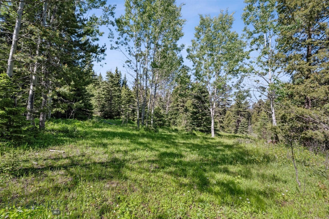 Property Photo: Tbd Smokey Mountain Drive MT 59711