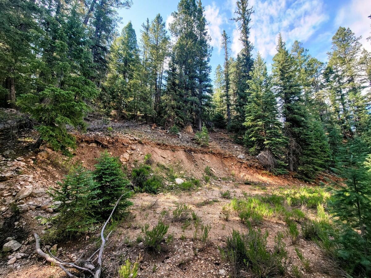 Property Photo: 770 N Skyline View Dr UT 84762