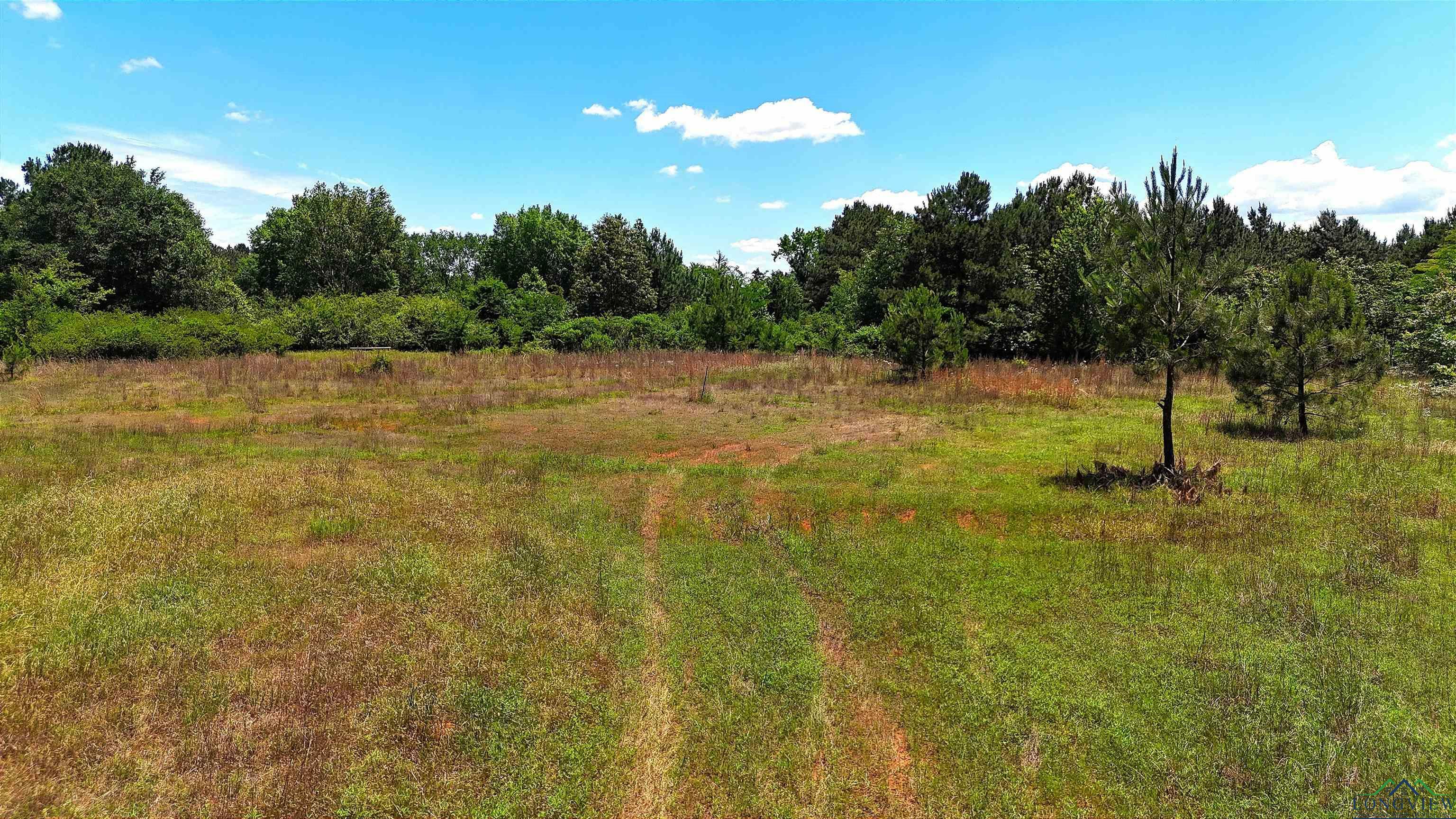 Property Photo: Tbd Cr 2142 TX 75691