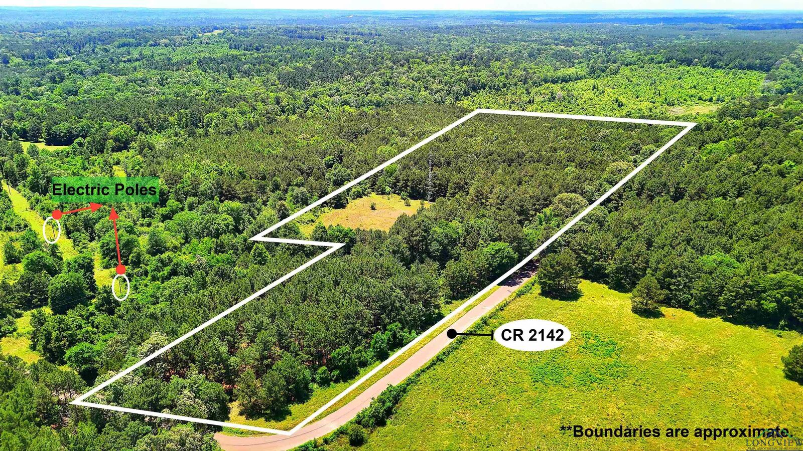 Property Photo: Tbd Cr 2142 TX 75691