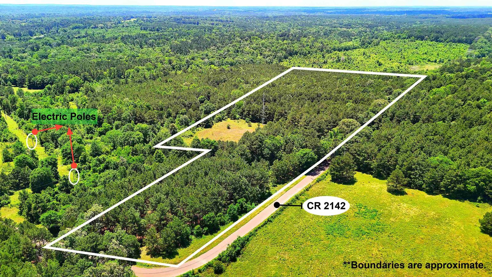 Property Photo:  Tbd Cr 2142  TX 75691 