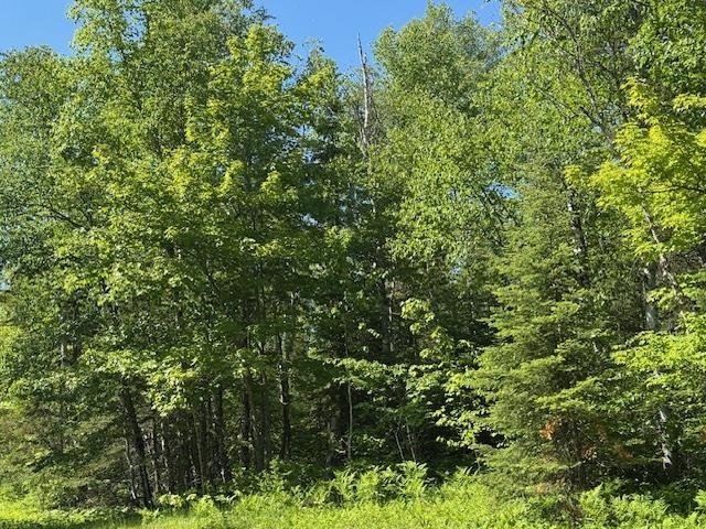 Property Photo:  305 Irish Creek Rd  MN 55606 