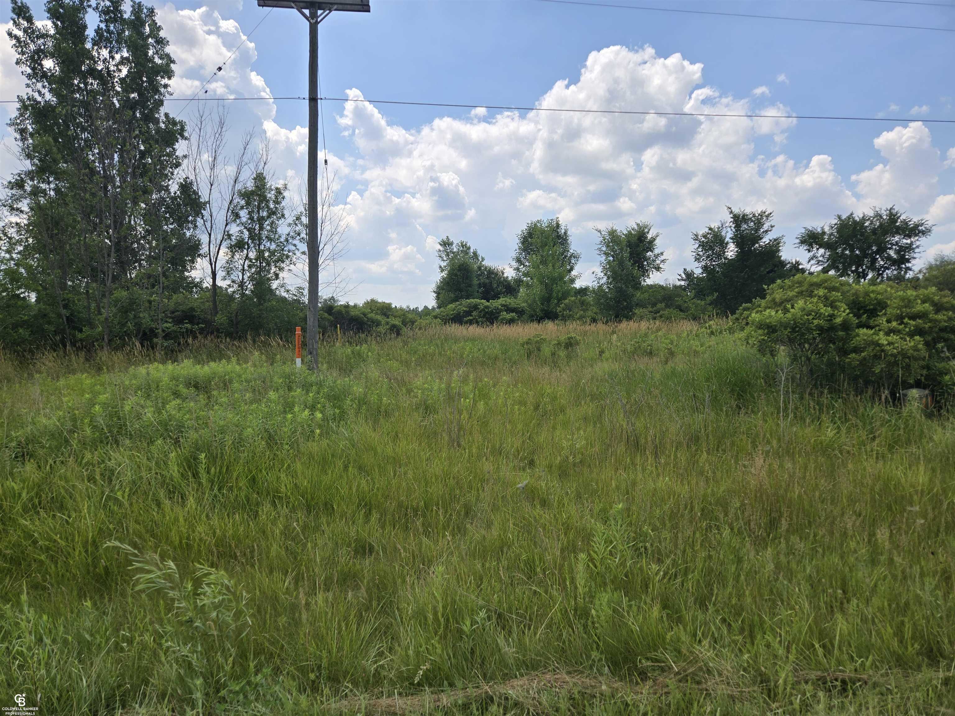 Property Photo: 11547 Burt Road MI 48041