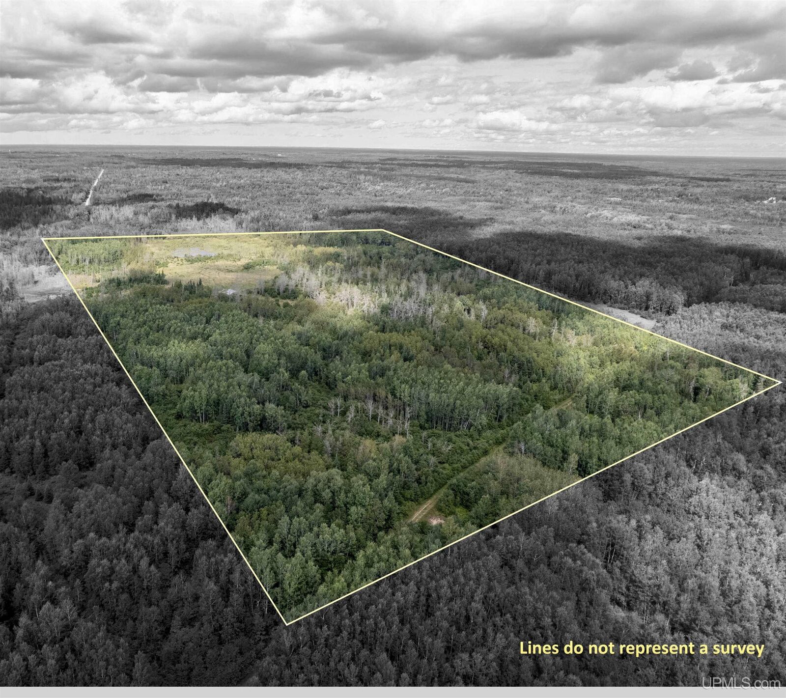 Property Photo:  Tbd Plantation Lane  MI 49880 