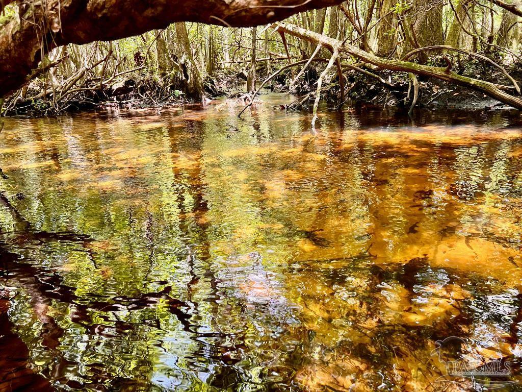 Property Photo: Lot 96 Turning Leaf Rd FL 32571