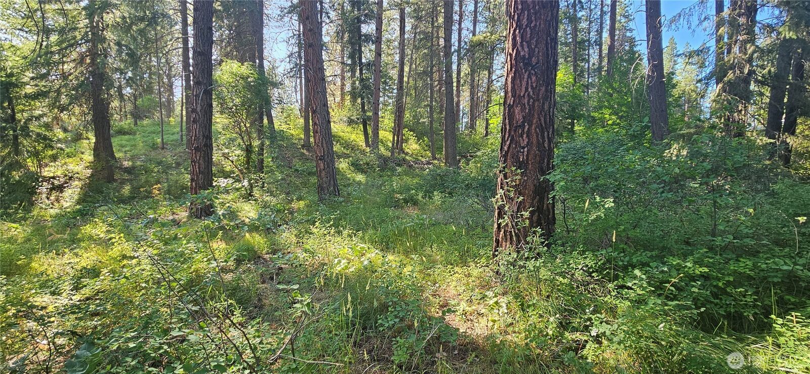 Property Photo: 21815 Colt Road WA 98826