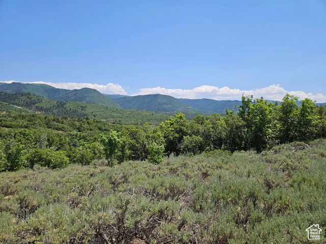 155 E Wolf Hollow Rd S 155  Fairview UT 84629 photo