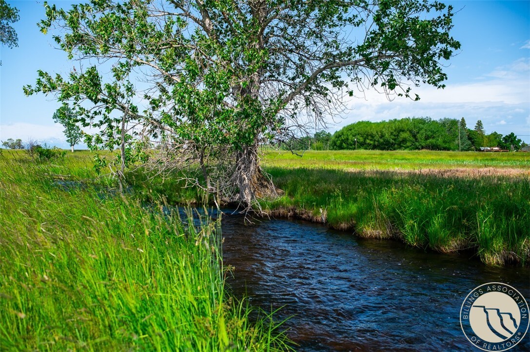 Property Photo: Nsn Cooney Rd MT 59070