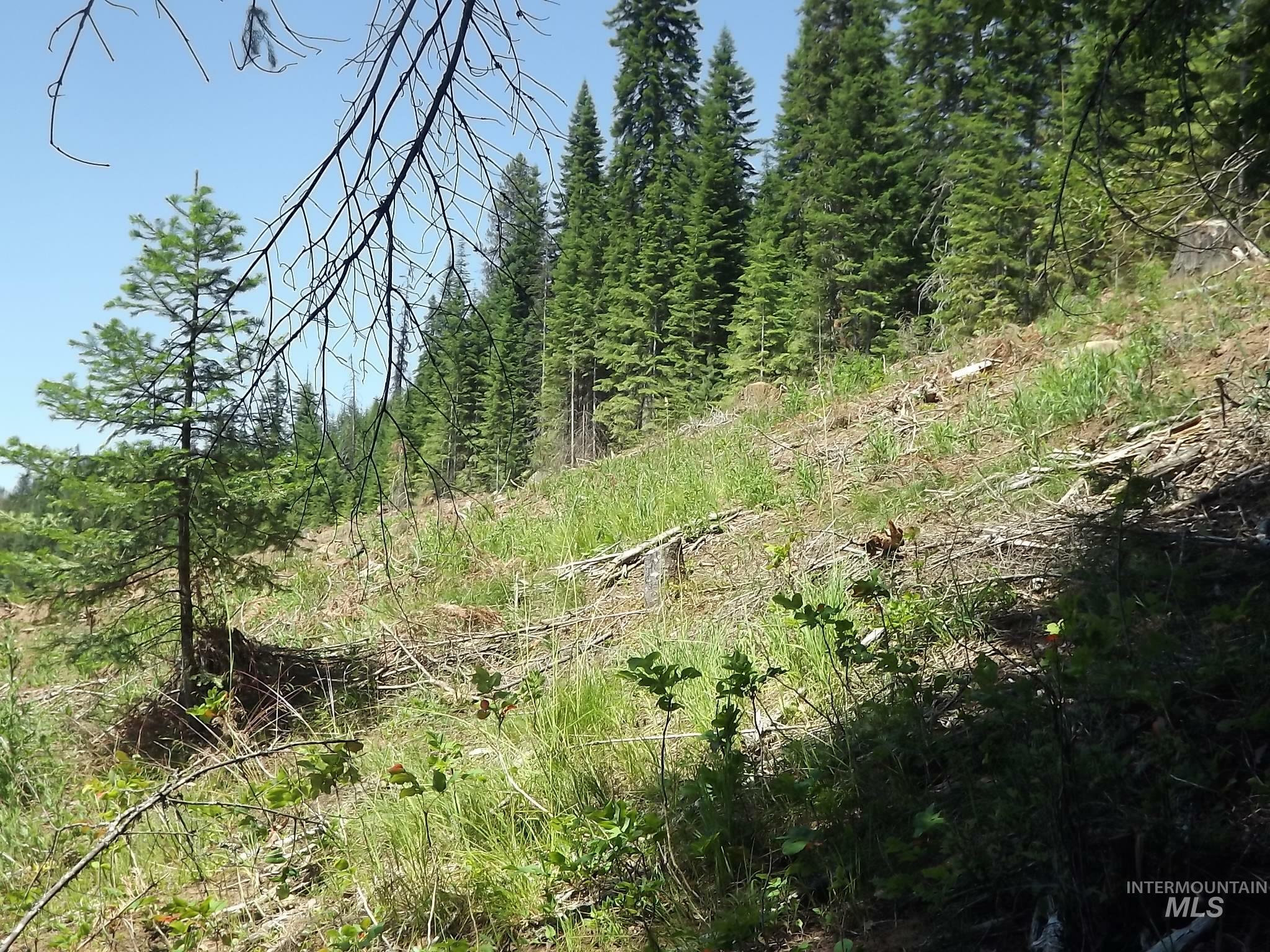 Property Photo:  Tbd Hwy 11  ID 83546 