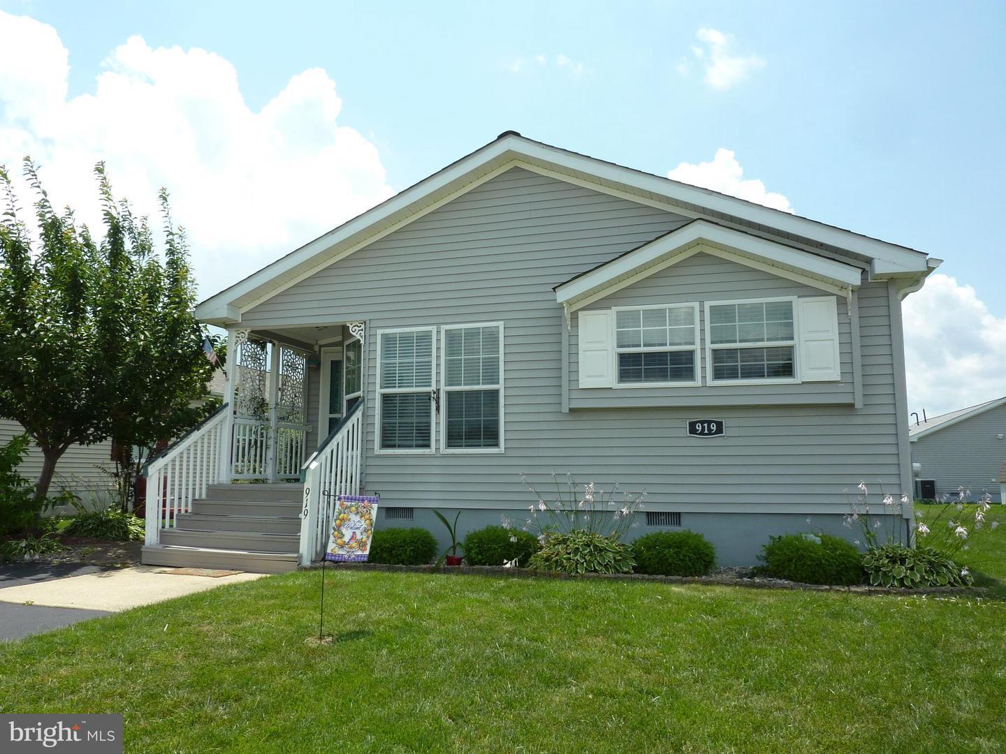 Property Photo:  919 Appleberry Drive  DE 19977 