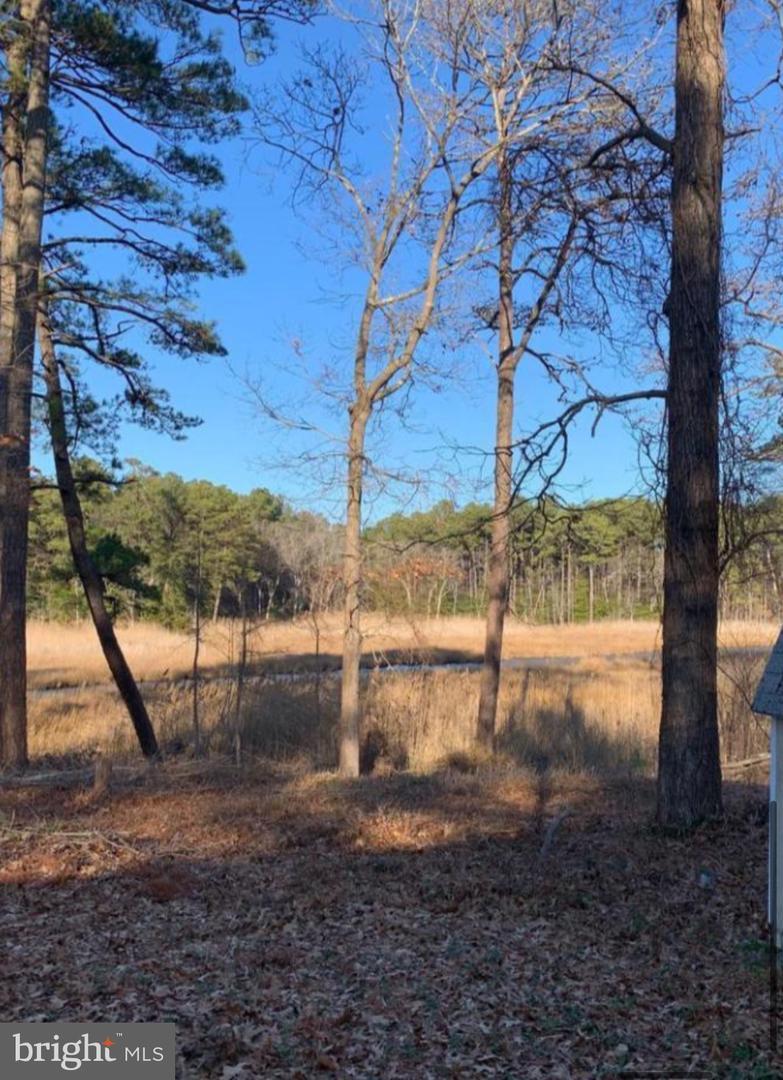 Property Photo: 36357 Fir Drive DE 19971