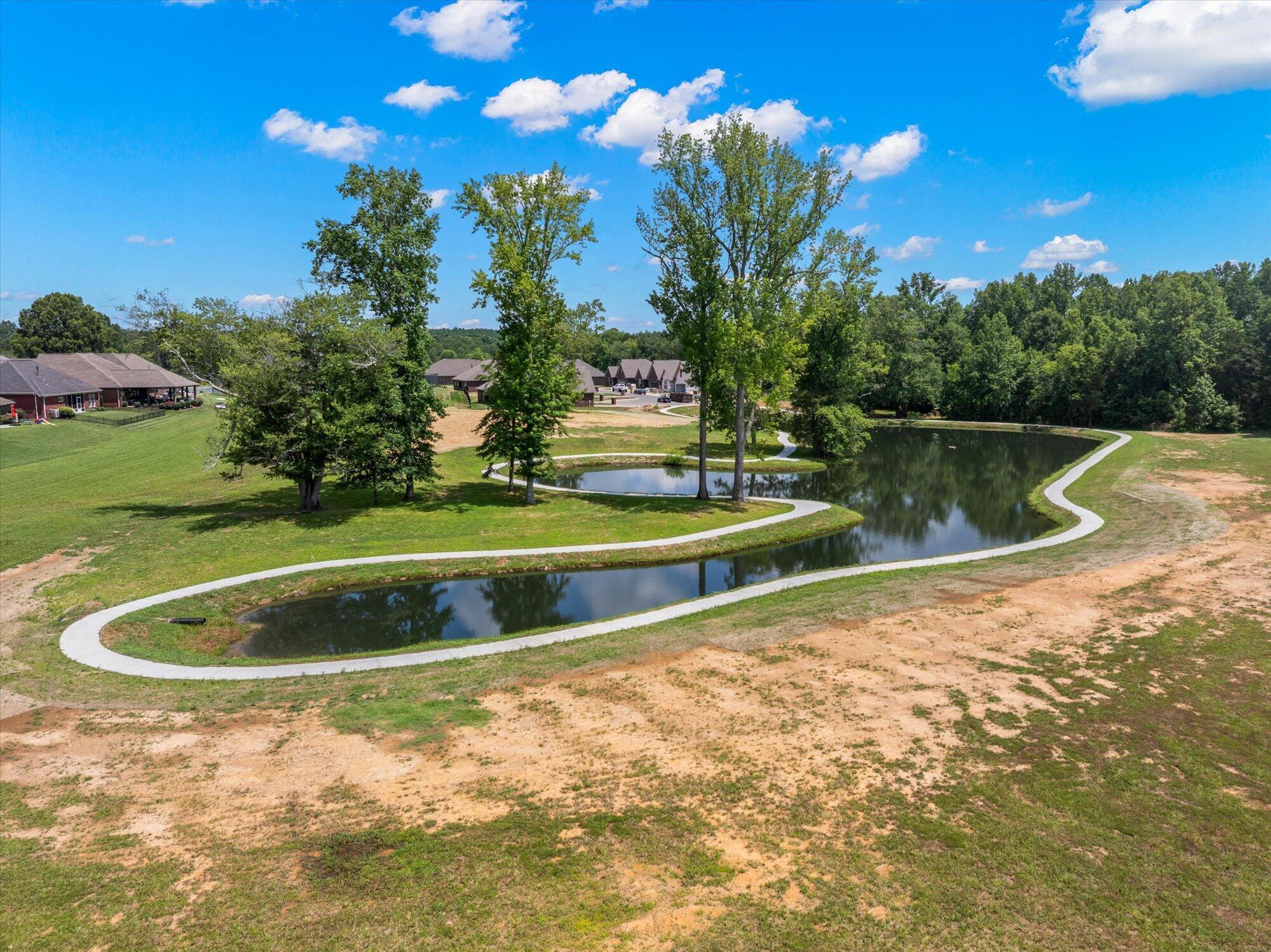 Property Photo: 225 Lake View Point TN 37329