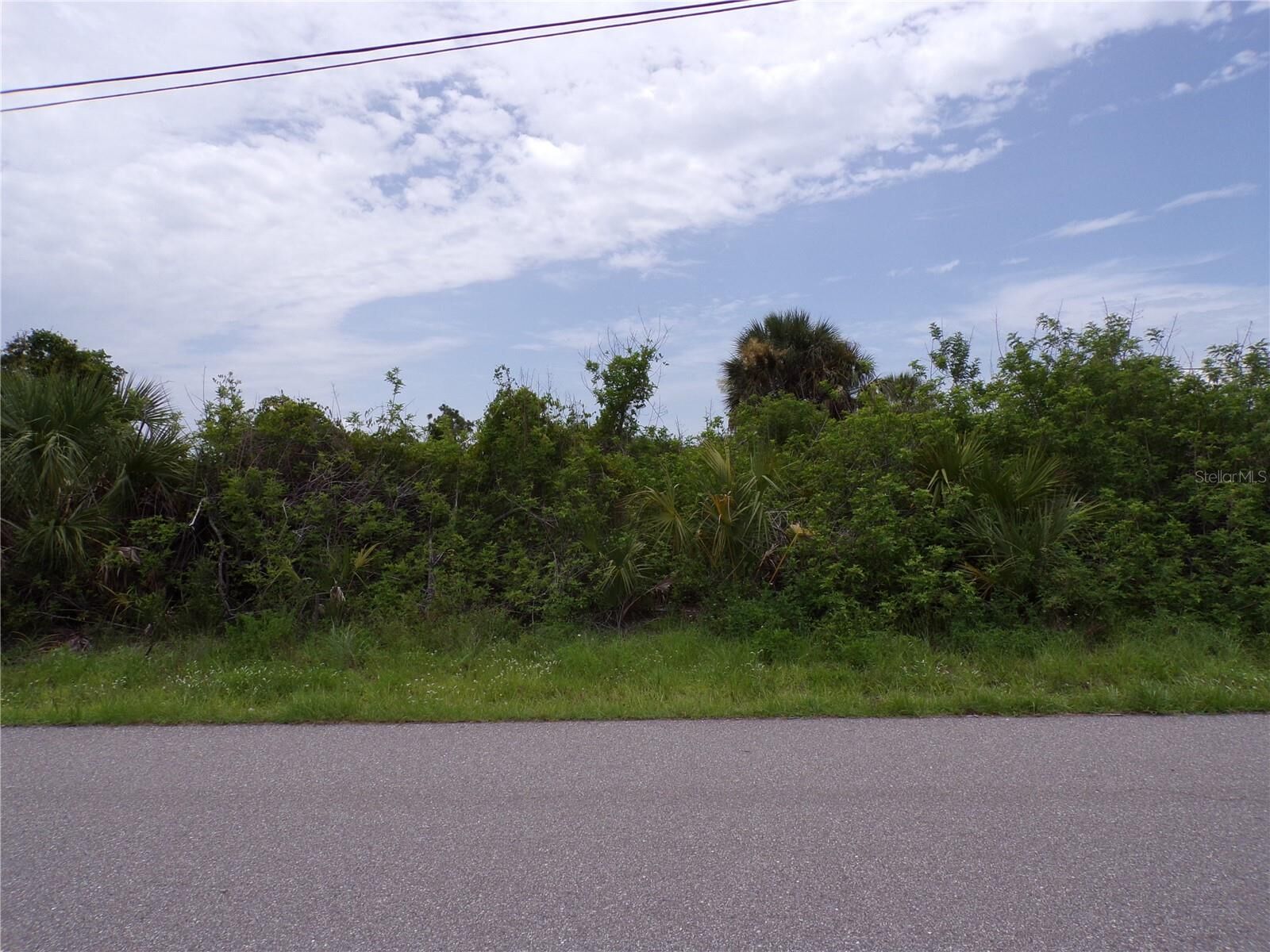 Property Photo: 10266 Lobelia Place FL 33981