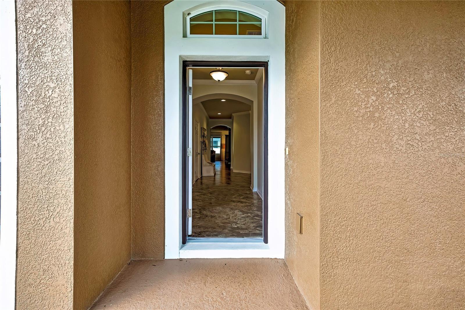 Property Photo: 31518 Bearded Oak Drive FL 33543