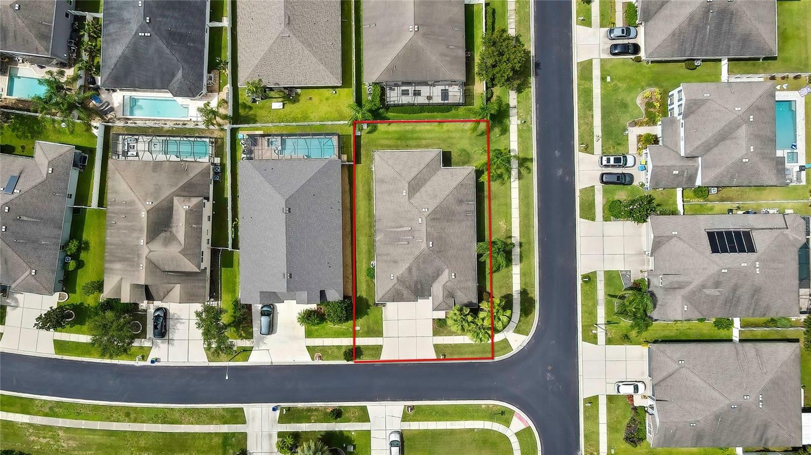 Property Photo: 31518 Bearded Oak Drive FL 33543