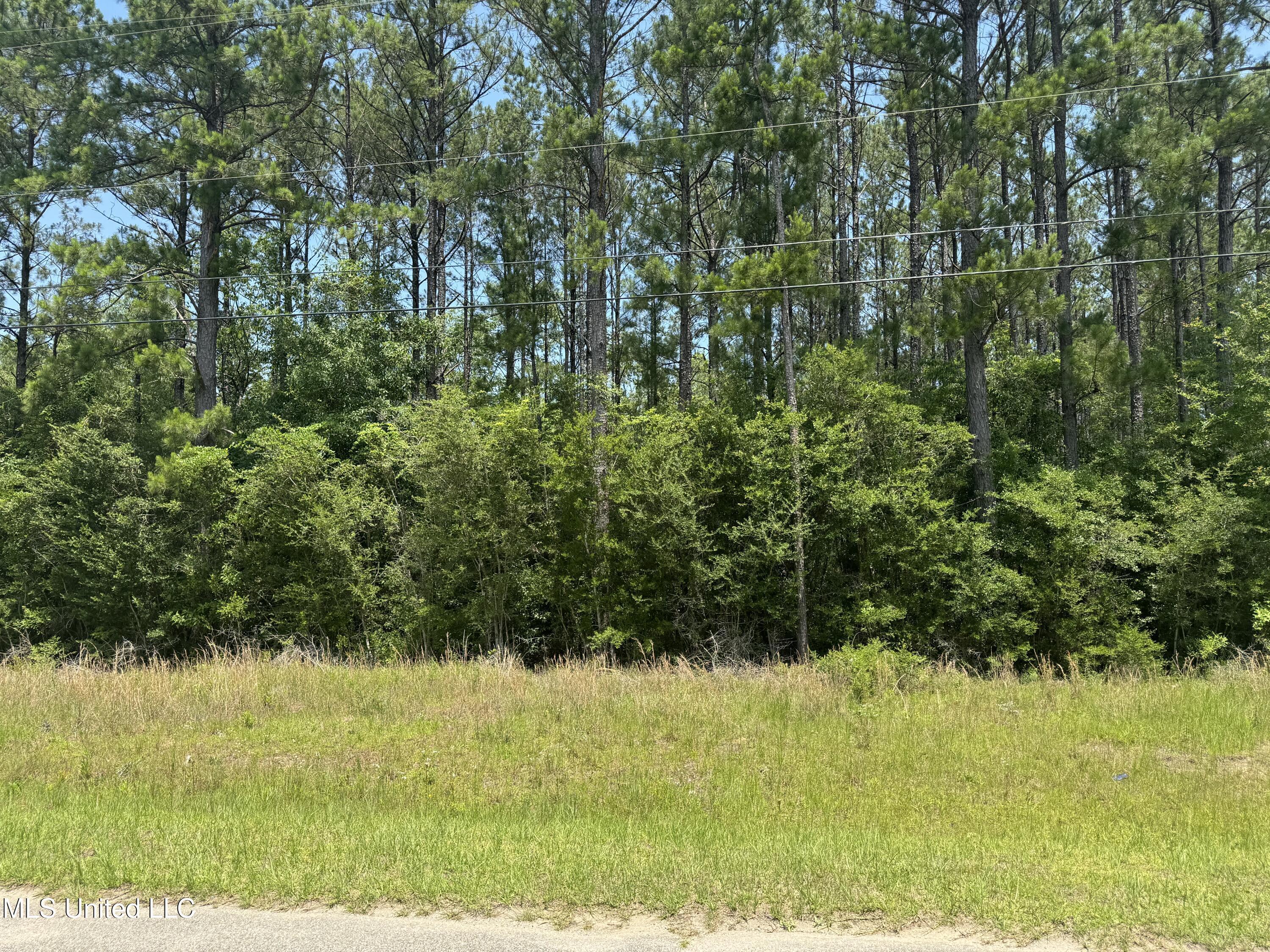 Property Photo: E Edgewood Drive MS 39574