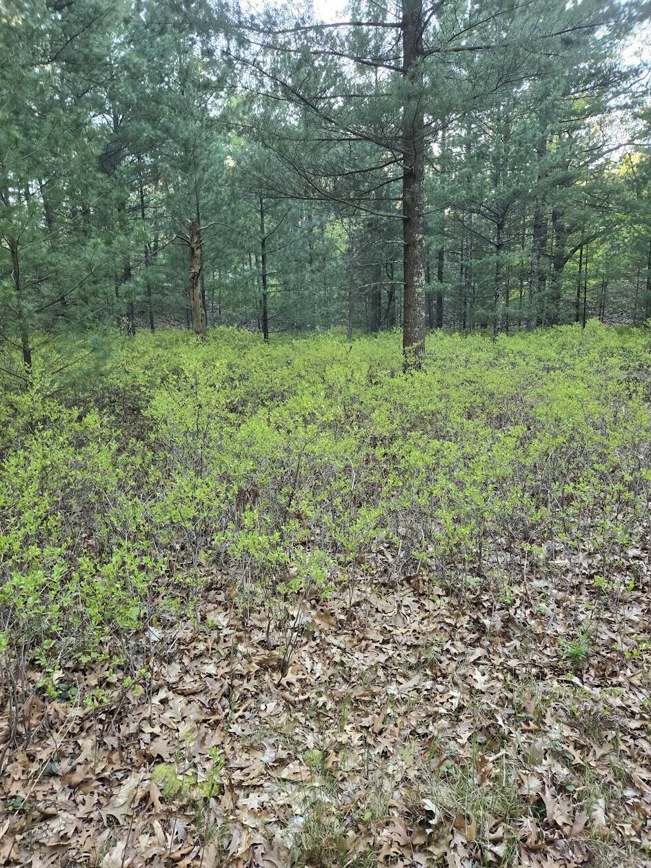 Property Photo:  V/L Pentwater Boulevard  MI 49449 