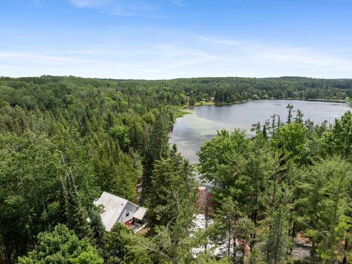 15751 Molineaux Road  Wolverine MI 49799 photo