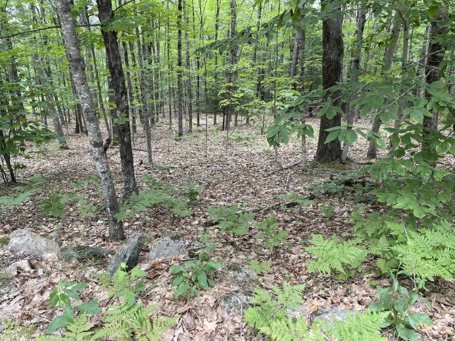 Property Photo: 956 N Barnstead Road NH 03225