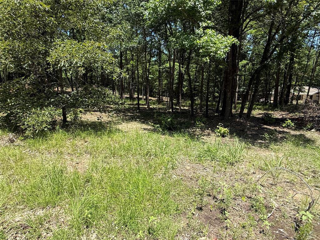Property Photo: Tbd Pr 5861 (Lot 3) TX 75497