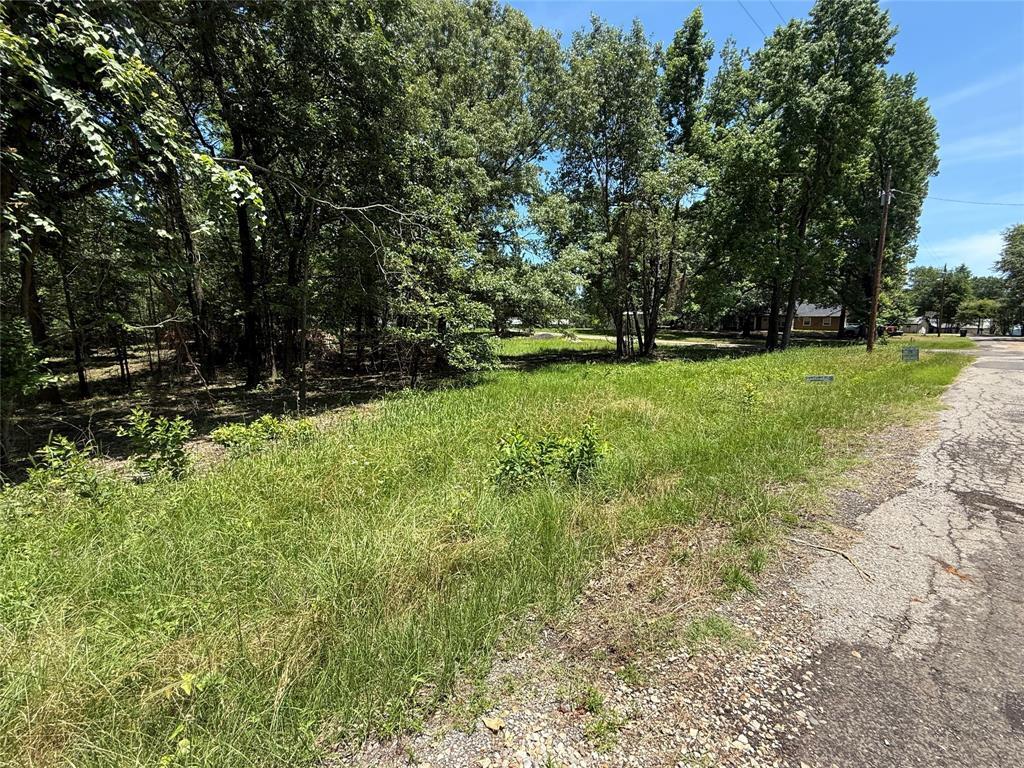 Property Photo: Tbd Pr 5861 (Lot 6) TX 75497