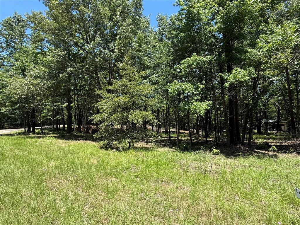 Property Photo: Tbd Pr 5861 (Lot 2) TX 75497