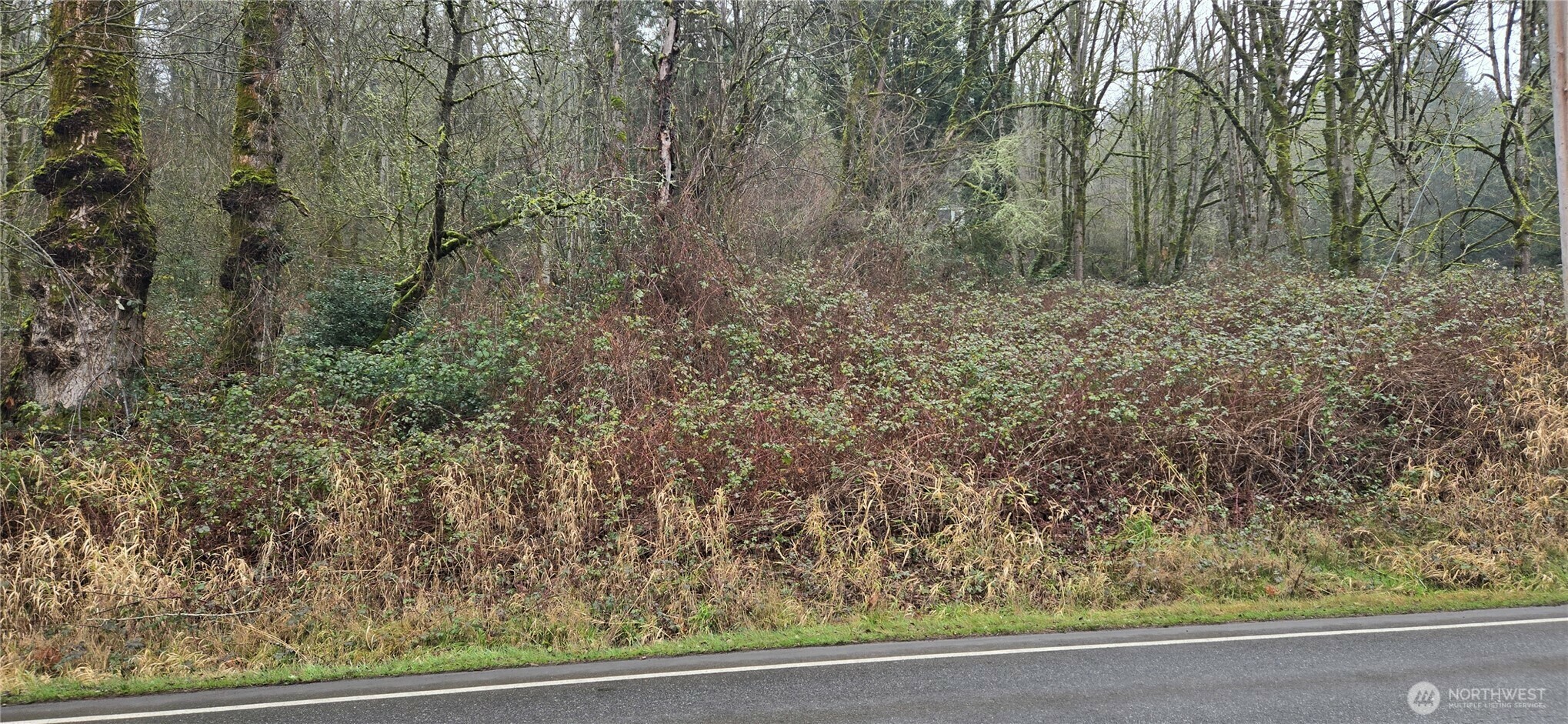 Property Photo: 70 Lakemont Boulevard SE WA 98006
