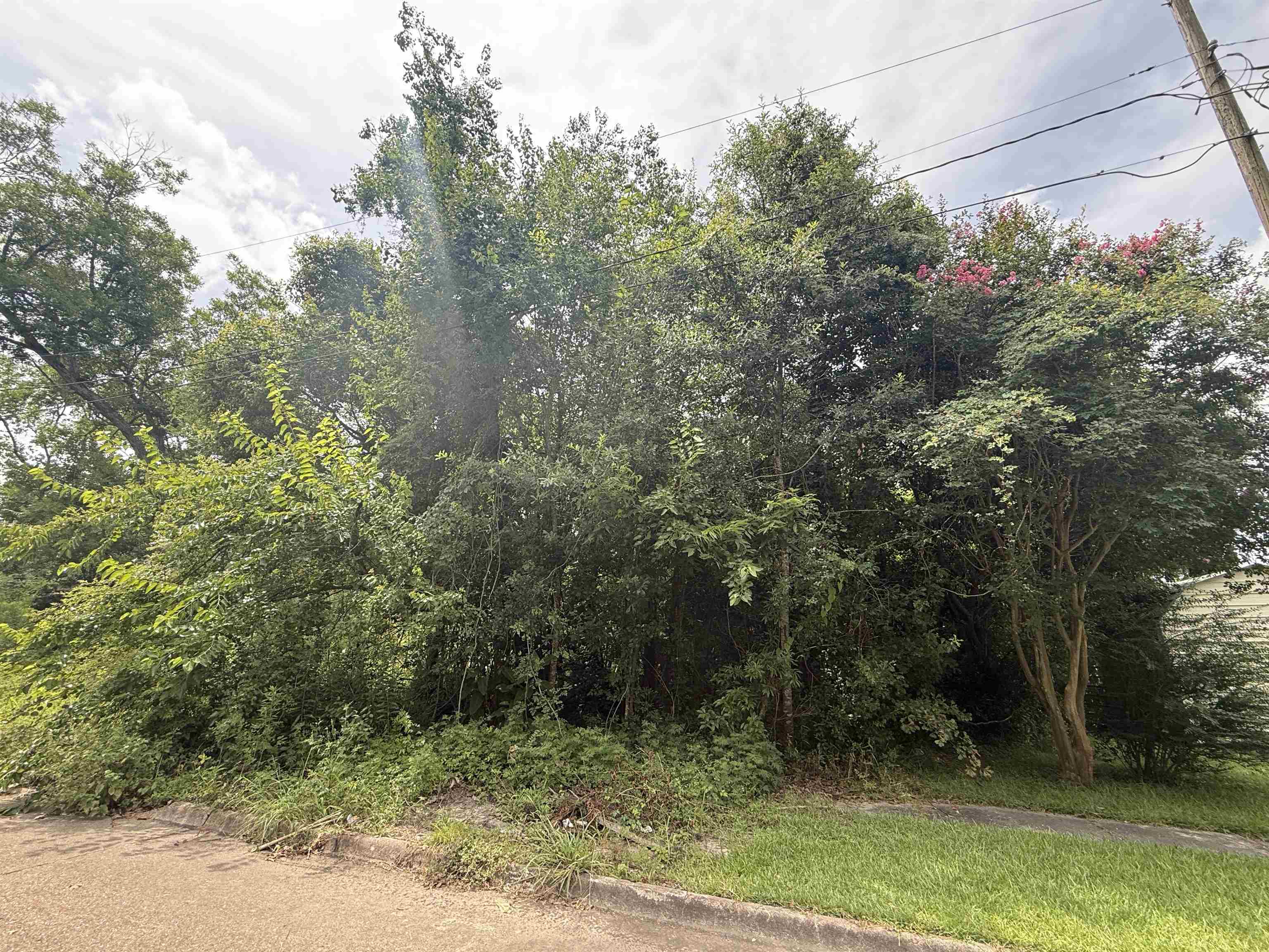 Property Photo: 1209 W Orange TX 77630