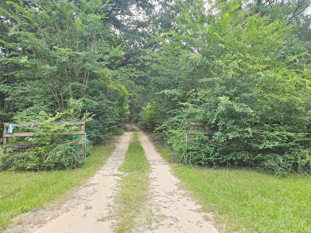 Property Photo: 228 Laurel Court GA 39842