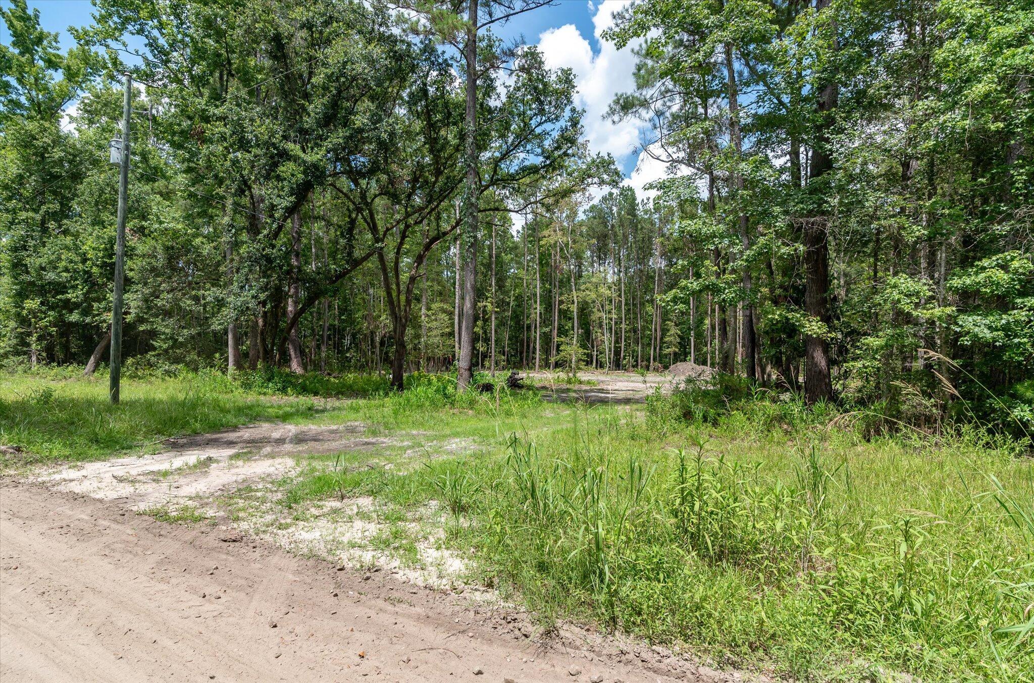 Property Photo: 98 Manatee Lane SC 29446